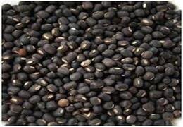 Urad Dal (Sabut)