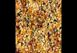 Mix Dal