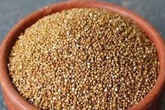 Barnyard Millet (Sanwa)