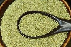 Browntop Millet (Green Kangni)