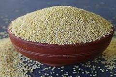 Little Millet (Kutaki)