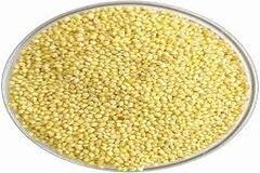 Prosa Millet (Chena / Barri)