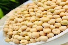 White Pea