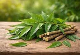 Neem