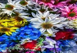 Multi Flower